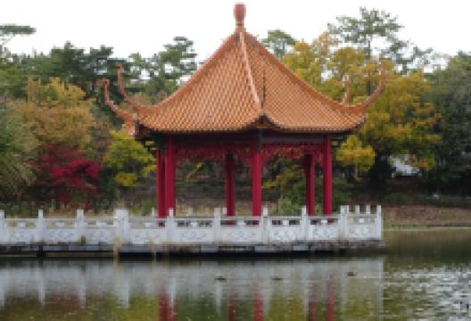 绿之丘公园(伊丹市)景点图片