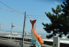 平矶海水浴场景点图片