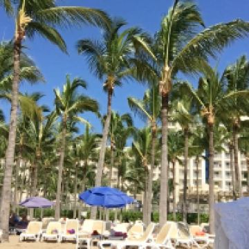 新巴利亚塔图片