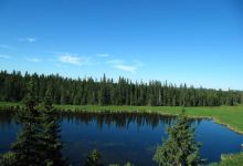 Kerry Wood Nature Centre景点图片