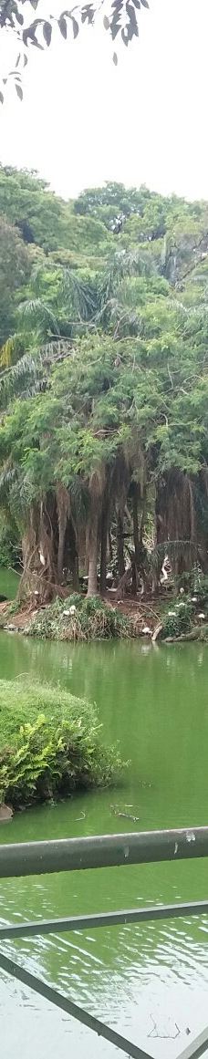 Parque Zoologico Municipal Quinzinho De Barros-索罗加巴