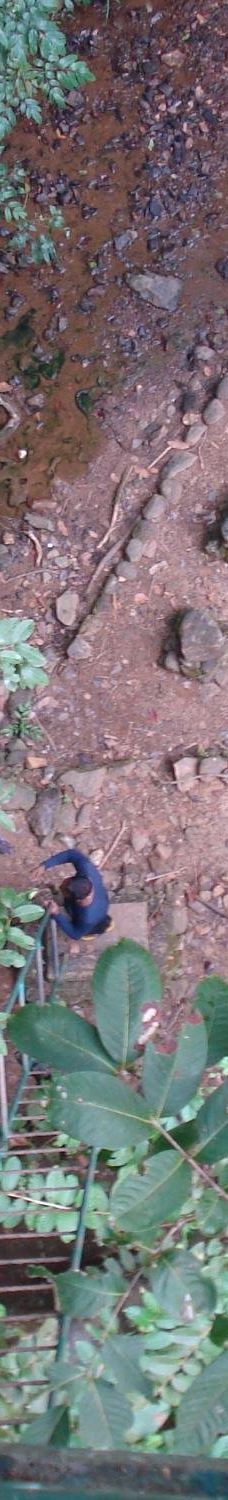 Cotigao保护区-南果阿县