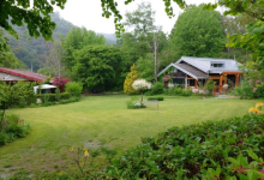 美术馆白桦林景点图片