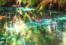 Kikuletwa Hotsprings景点图片