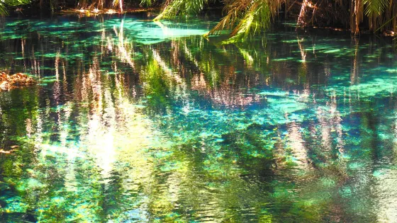 Kikuletwa Hotsprings