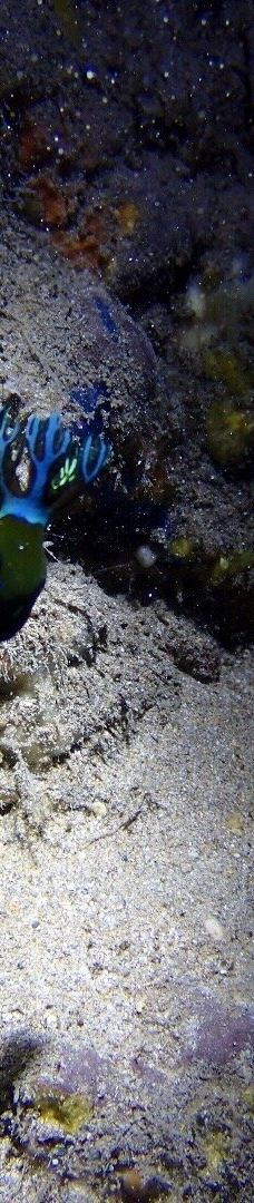 Makena Landing Park-茂宜县