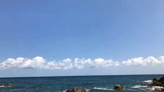 南涯港