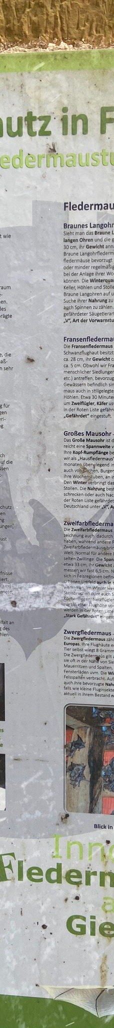 Giechburg-谢斯利茨