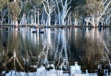Duck Lagoon景点图片