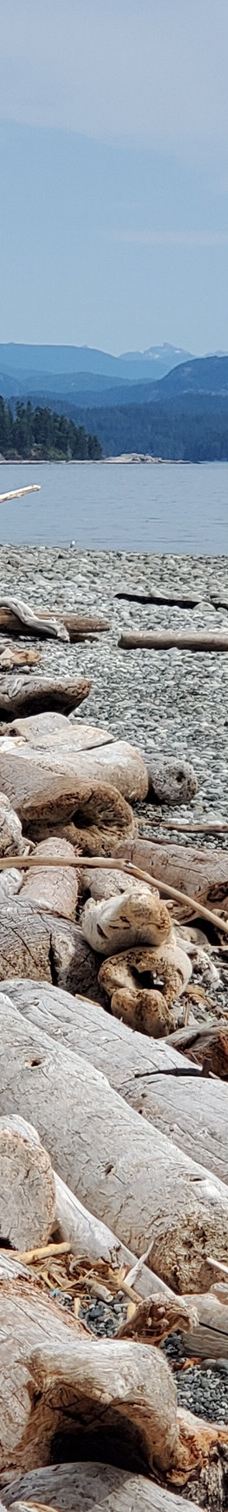 Rebecca Spit Marine Provincial Park-奎德拉岛