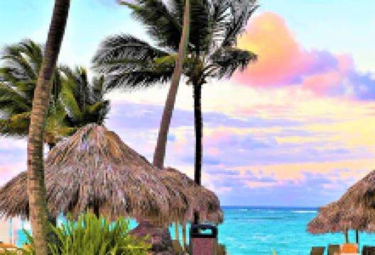 Arena Gorda Beach景点图片