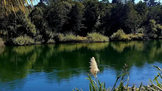 Swarbricks Landing