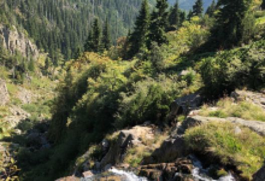 The Elbe river source景点图片