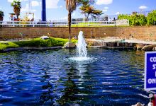 Scandia Family Fun Center景点图片