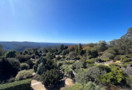 Wedding Tree Terrace - Blue Mountains Botanic Garden景点图片