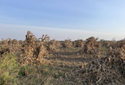 Kipangas景点图片