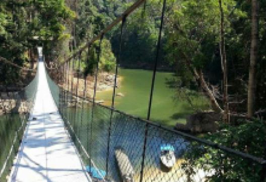 Sungai Petang景点图片