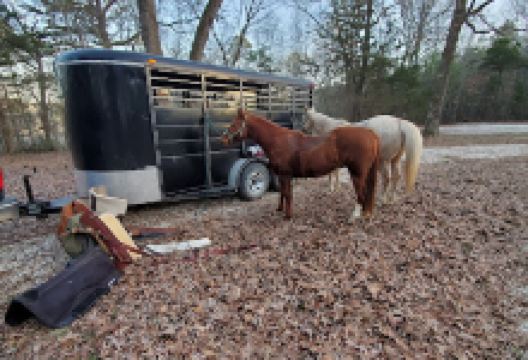 Big piney horse camp景点图片