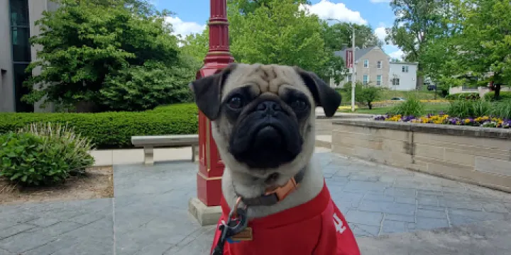 Neal-Marshall Black Culture Center Library