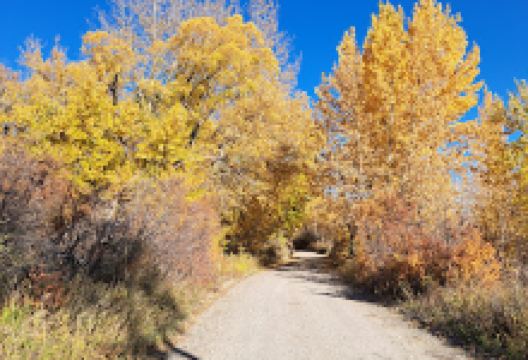 River Valley Wilderness Park景点图片