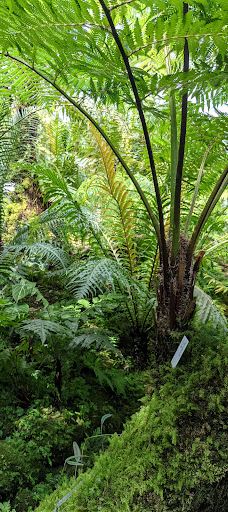 Botanical Garden-维尔茨堡