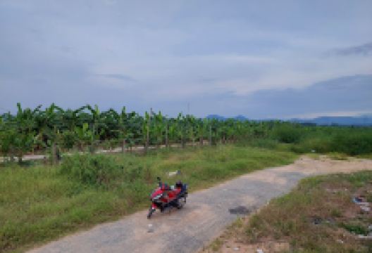 Nghĩa Trang 3 Xã Tân Minh景点图片