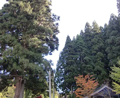 十二社