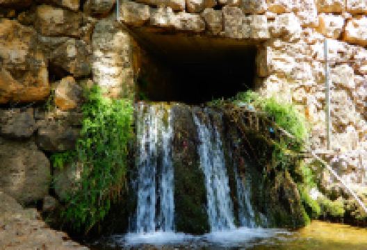 حديقة الريحان العامة | Rihan Public Park景点图片