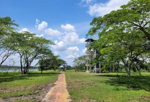 Kinta Nature Park景点图片
