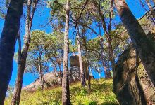 La Piedra redonda景点图片