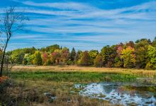 Pete's Pond Preserve景点图片