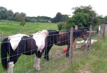 Colney Wood景点图片