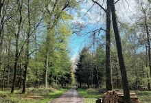 Auenwälder und Feuchtwiesen westlich von Ötigheim景点图片