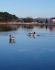 Parc de l'Agulla-巴热