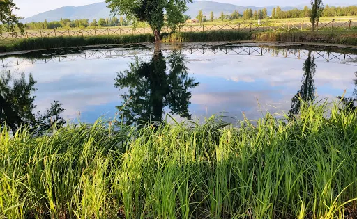 Lago Aiso