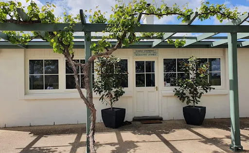 The Willows Vineyard