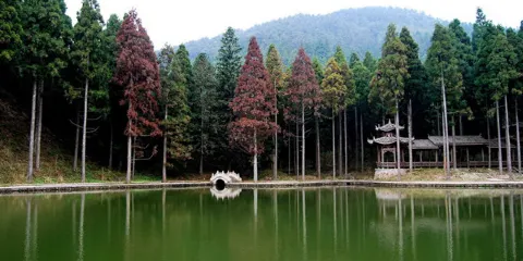 浙江省文成縣石垟森林公園