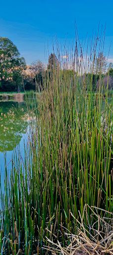 A Place to Play-圣罗莎