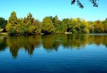 Mills Pond Recreation Area景点图片