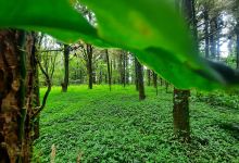 CERRO EL AGUILA景点图片