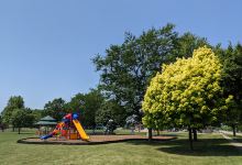 Northfield Park景点图片