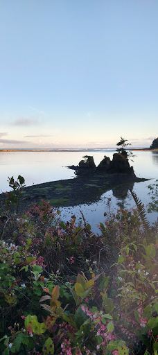Siletz Bay National Wildlife Refuge-林肯县