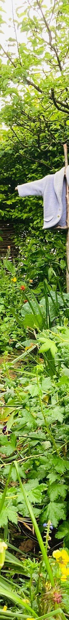 彼得兔世界-鲍内斯温德米尔