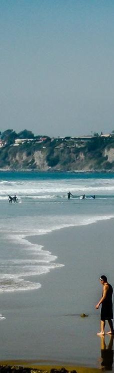 Salt Creek Beach-达纳点
