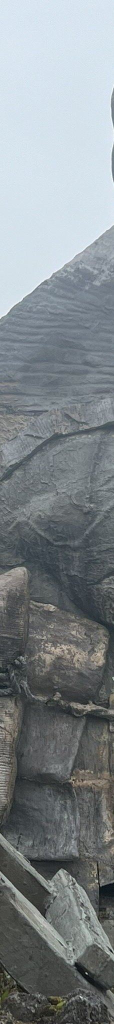 Monumento a los Colonizadores-马尼萨莱斯