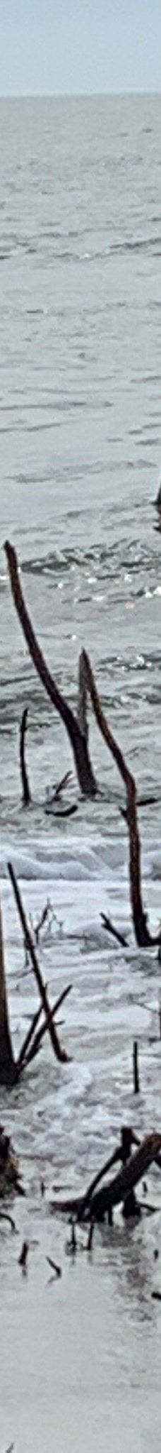 Tigertail Beach-马可岛