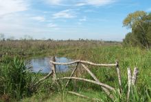 Bonanza Deltaventura, tu estancia en el Delta景点图片