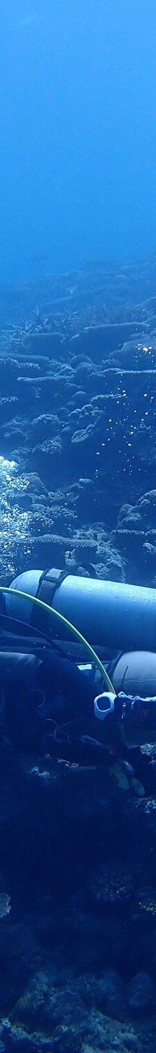 庆良间诸岛-座间味村