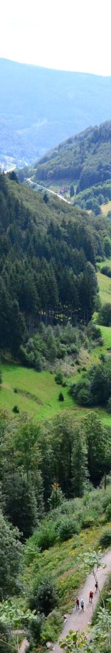 Todtnau Waterfall-托特瑙