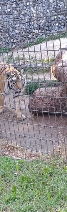 Parque Zoologico Municipal Quinzinho De Barros-索罗加巴